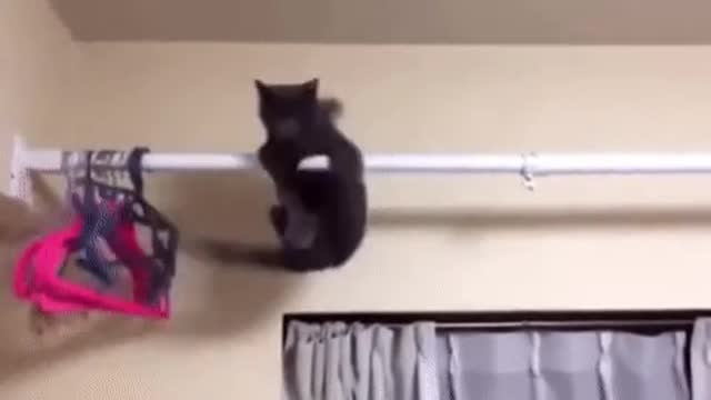 My kung fu is better than your kung fu