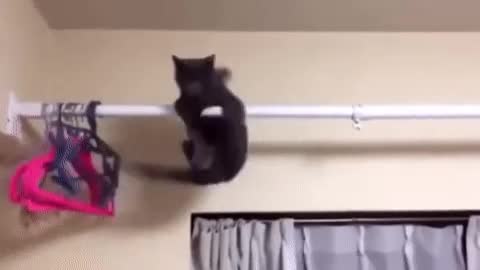 My kung fu is better than your kung fu