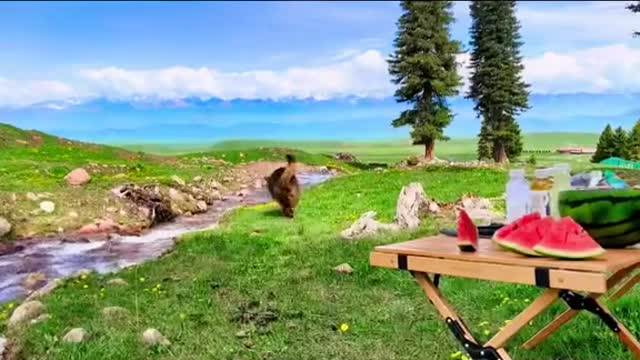 🥰🥰🥰scenery is beautiful#landscape #scenery #travel #cure