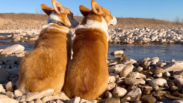 The wind is gentle, the sun is warm, and the river is clear.