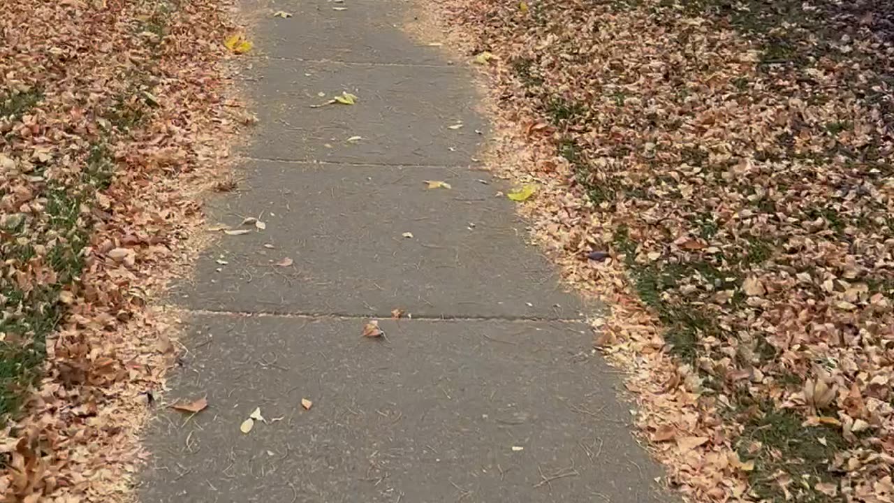 Heading for a walk while it’s raining 🌧️ outside