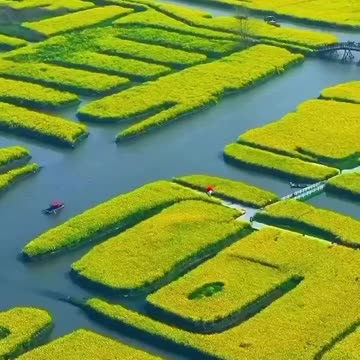 Amazing China 🇨🇳 Joy Funny Factory