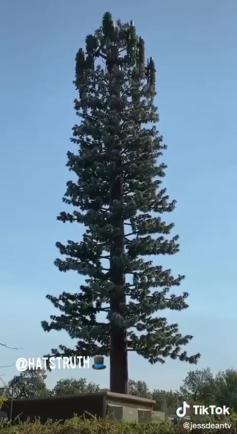 Not A Tree But 5G Tower Hidden 1min*