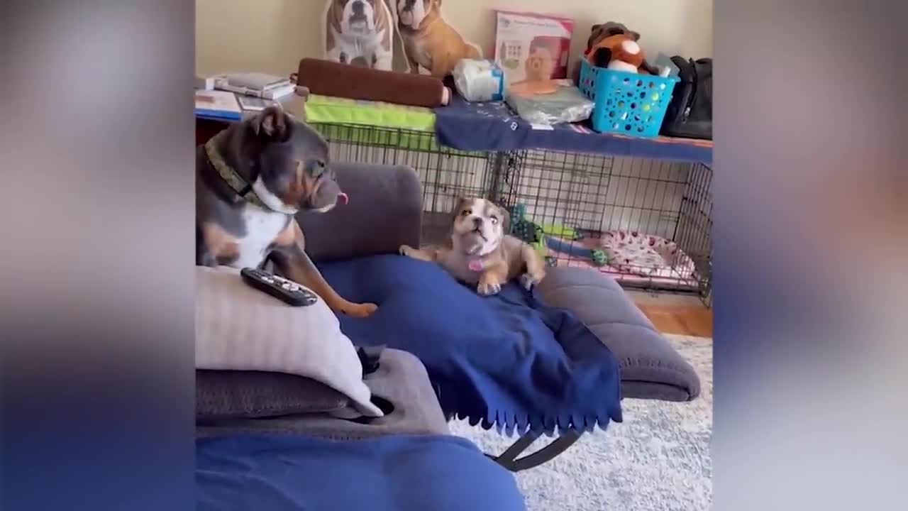 Daddies and babies moments
