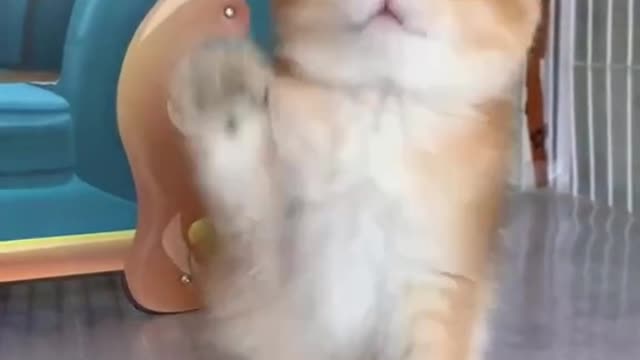 so cute 🥰