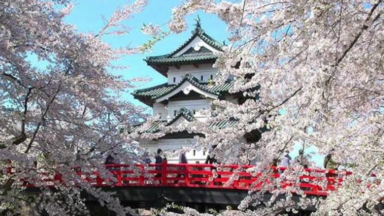 #CastleViews#HistoricCastle#MedievalBeauty#CastleExploration#FairytaleCastles#CastleAdventures#Japan