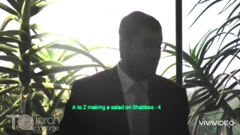 A to Z making a salad on Shabbos - 4 (Video #4 of 10)