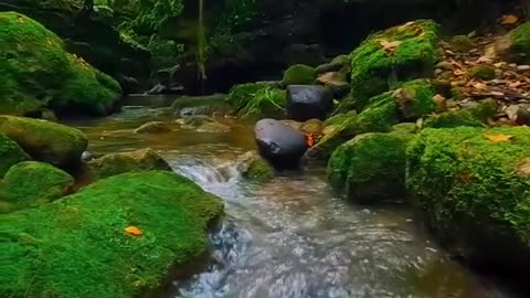 Beautiful Nature