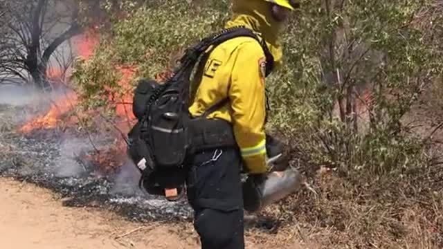 Incendiere controlata