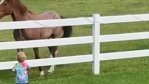 Little boy calls his horses everyday #shorts #viral #shortsvideo #video