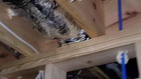 Barndominium top out