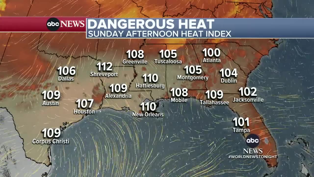 Florida's Gulf Coast under state of emergency | WNT