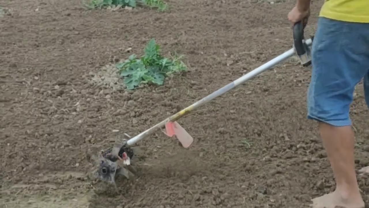 Weeder Machine Tiller for your land preparation for the crop