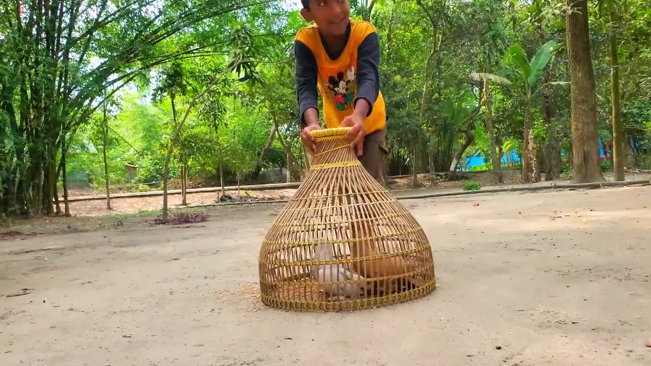 Amazing Pigeon Trapping technique | Boy Catching Bird With Fishing Tools Polo