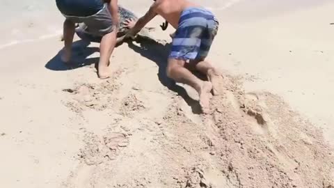 Helpless turtle gets rescued 🐢🙏