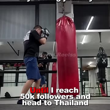 Boxing Journey:Day 5