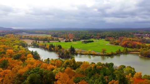 Enchanting Autumn Forests with Beautiful Piano Music