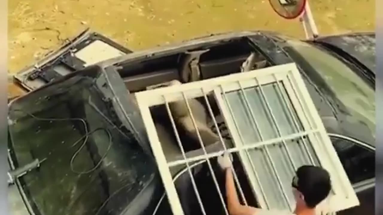 How to repair your car viral video