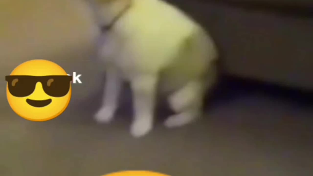 Twerk that thing Doggy