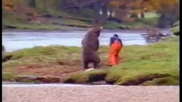 A Man Fighting Over a Fish With Bear