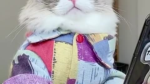 I’m down for anything if anyone sent me roses…