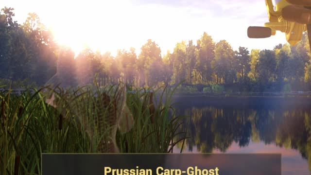 Fish Ghost Prussian carp, bait Ghost Worm, Fishing planet game