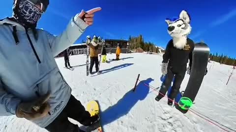 That was a first. #furry #snowboard #halfcabking