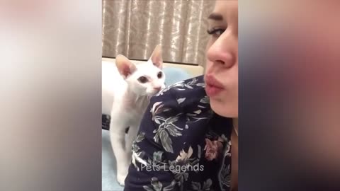 Funniest Animals 2023 😂 New Funny Cats and Dogs Videos 😻🐶