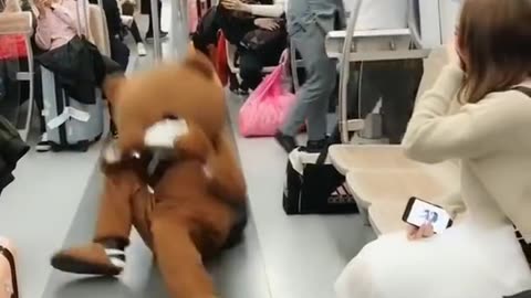 Brown bear 🐻 funny video