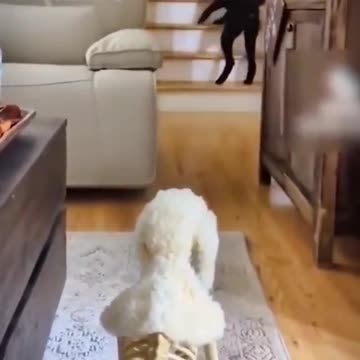 reason to smile because we already have to cry 8