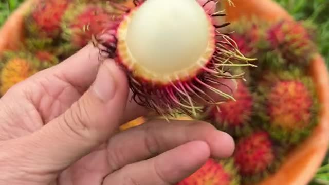 Rambutan. Related to lychee and tastes the same