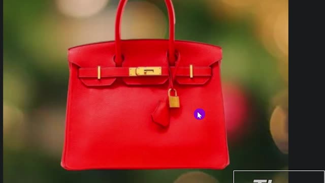 $1,000,000 In Hermes Handbags Stolen In Palm Beach Florida