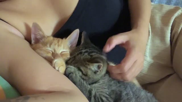 The two of them insisted on staying next to me