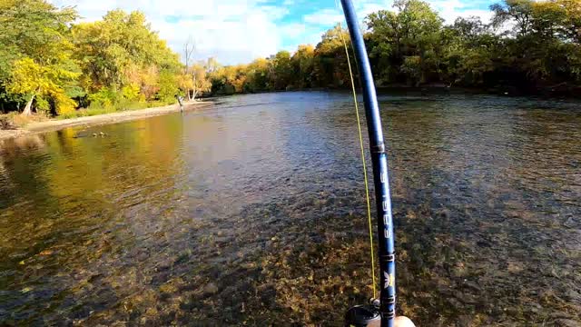 King Salmon Fishing #2