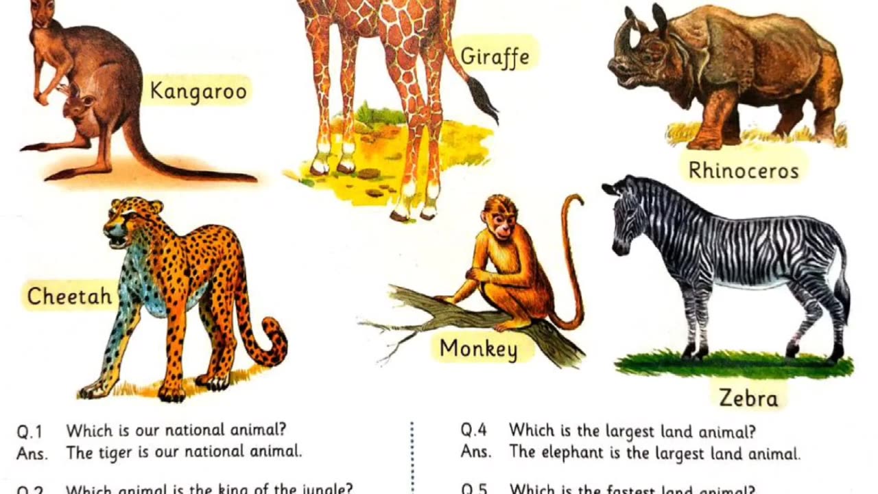 Wild animals, SrKG, e-learning