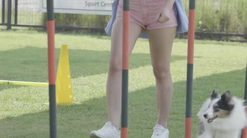 Training