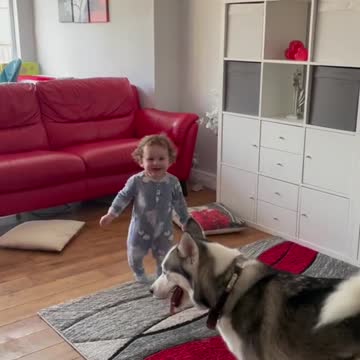 Watch what my child did while playing with the adorable dog in my house