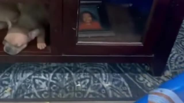 Wait till the end ,you won’t regret it.