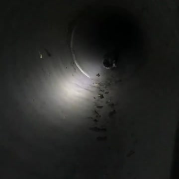 Officers lure tiny scared kitten out of drain pipe with a leftover burrito