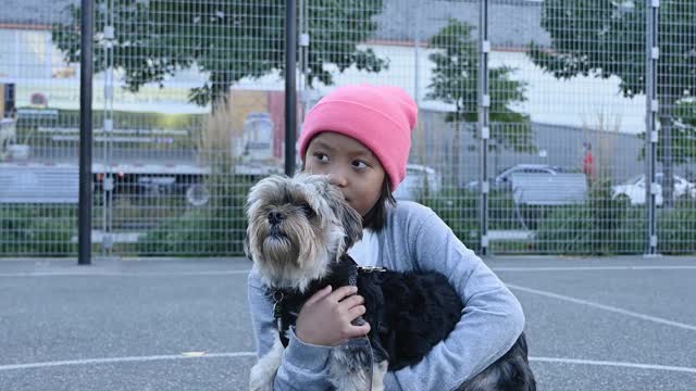 Funny and cute Dogs playing with child.