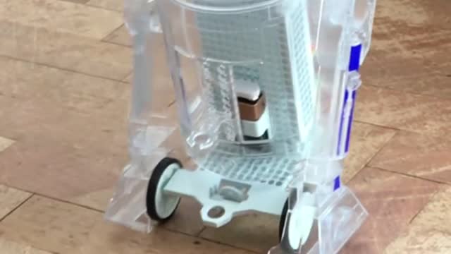 Dog Controls Robot With Touch Screen Device