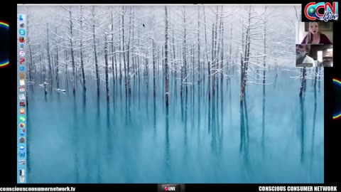 We are the ones we have been waiting for Eilish De Avalon talks to Santos Bonacci Flat Earth.mp4