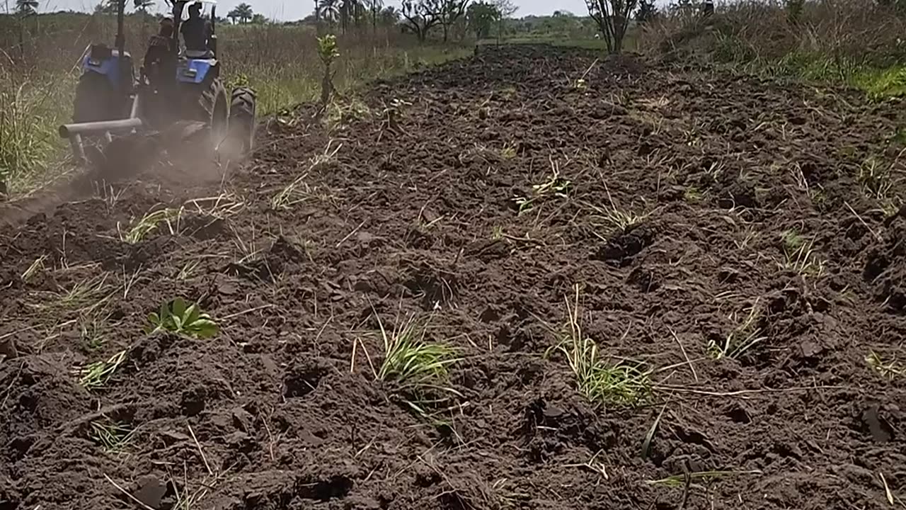The Tractor