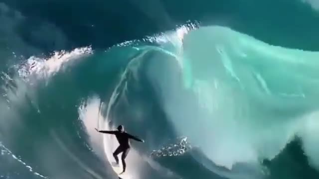 This is a beautiful and charming water-dwelling species