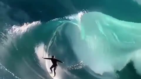 This is a beautiful and charming water-dwelling species