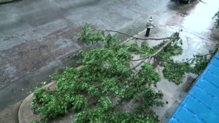 Hurricane Ida lashes Louisiana