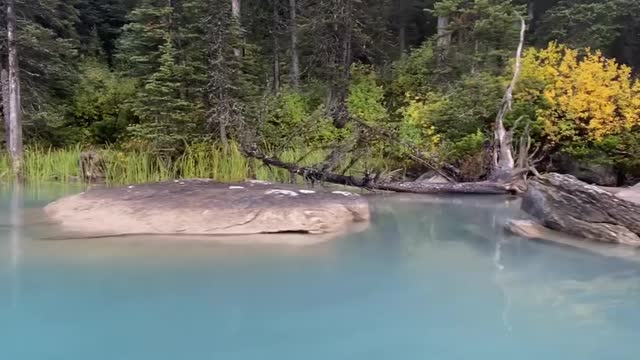 Paddling The Shoreline 🍁 🧊 🌲 🍂 . . . . . . . 📷