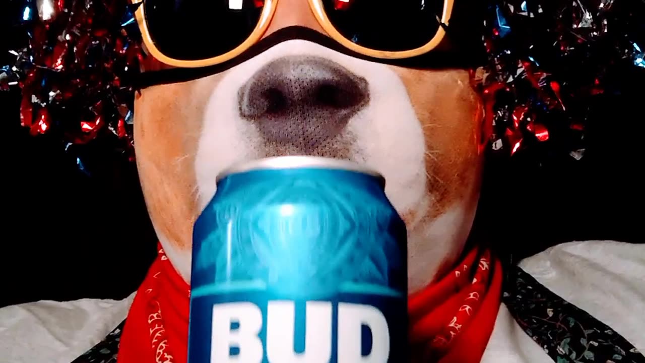 BUD LIGHT Relaunch Commercial TAKE 9