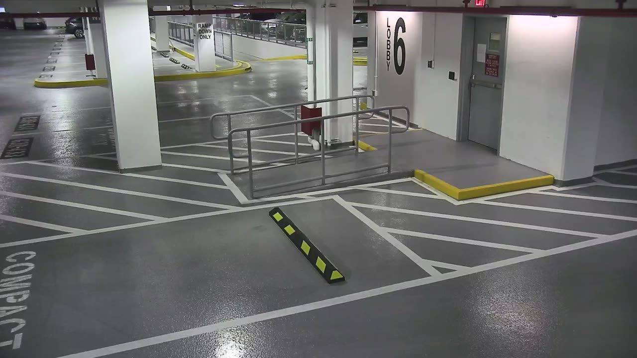 6082RHOBG3G306ANorthLobby_2021-01-06_11h40min02s027ms.mp4