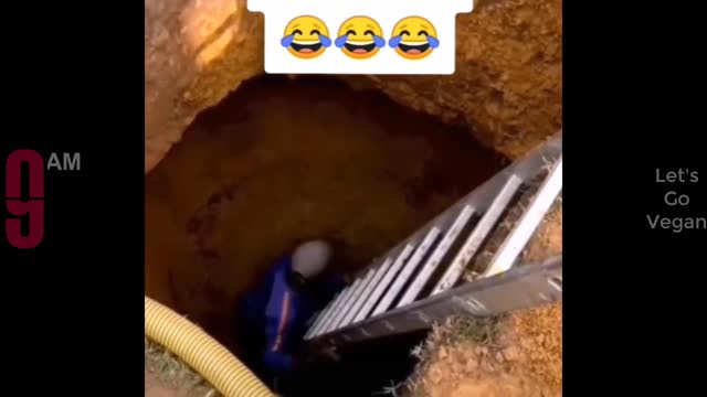 Funny videos